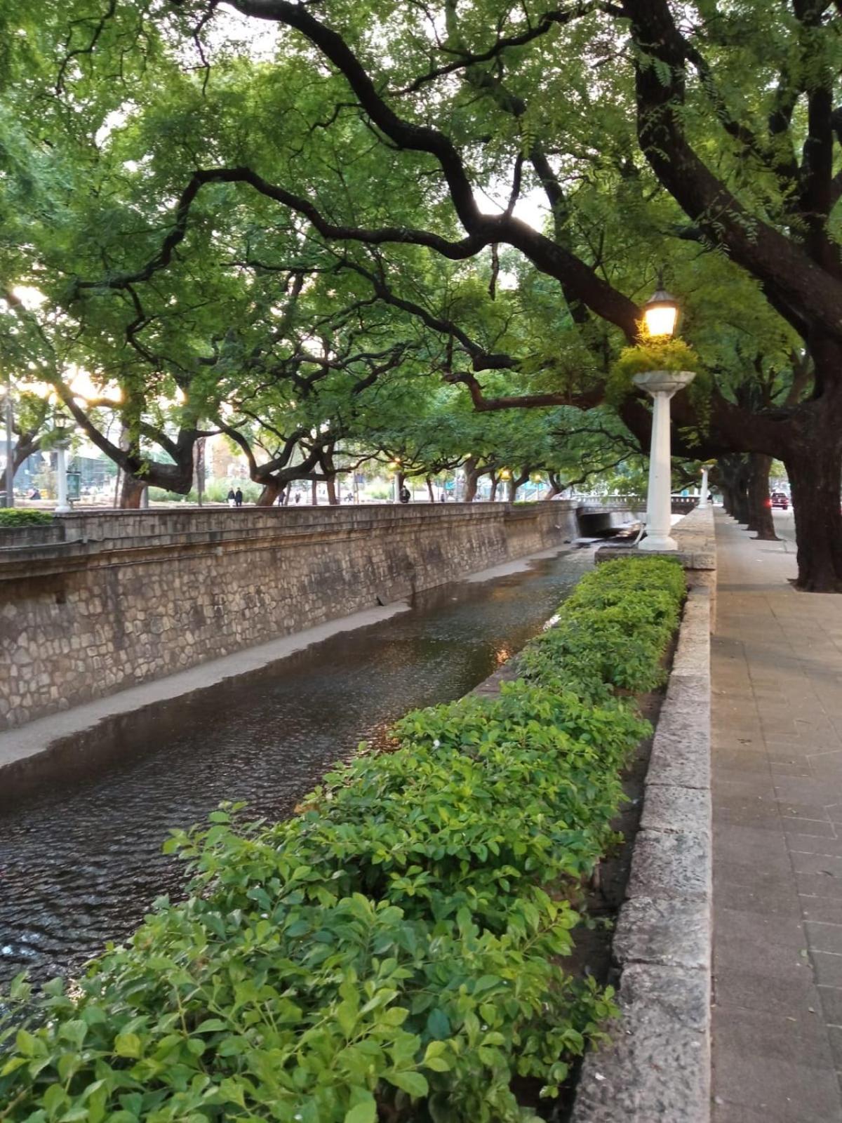 Santa Rosa *